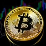 "Bitcoin Halving Timeline"