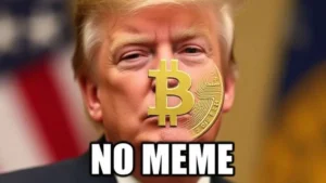 No Meme Coin